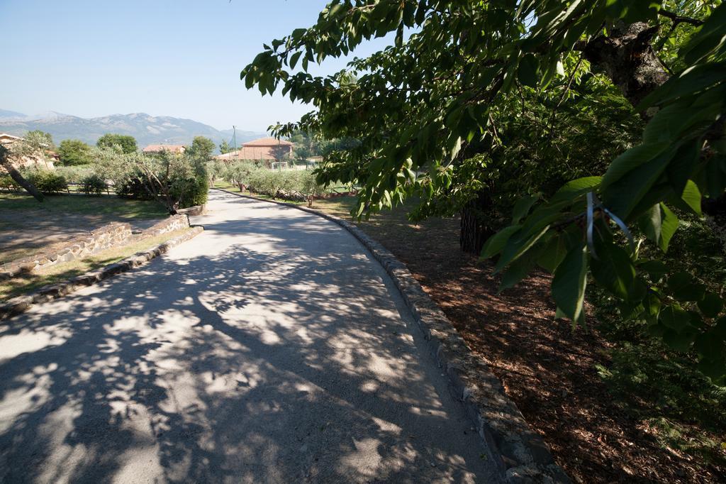 Agriturismo La Molara Сесса-Аурунка Екстер'єр фото